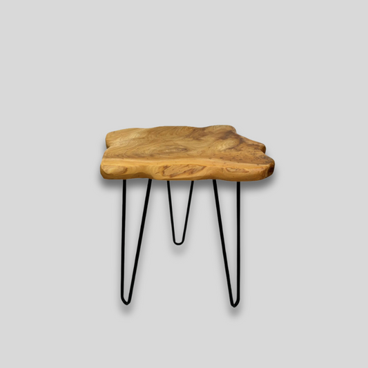 Table basse en bois et metal